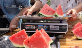 山东最新吃瓜爆料,揭秘神秘事件背后的真相